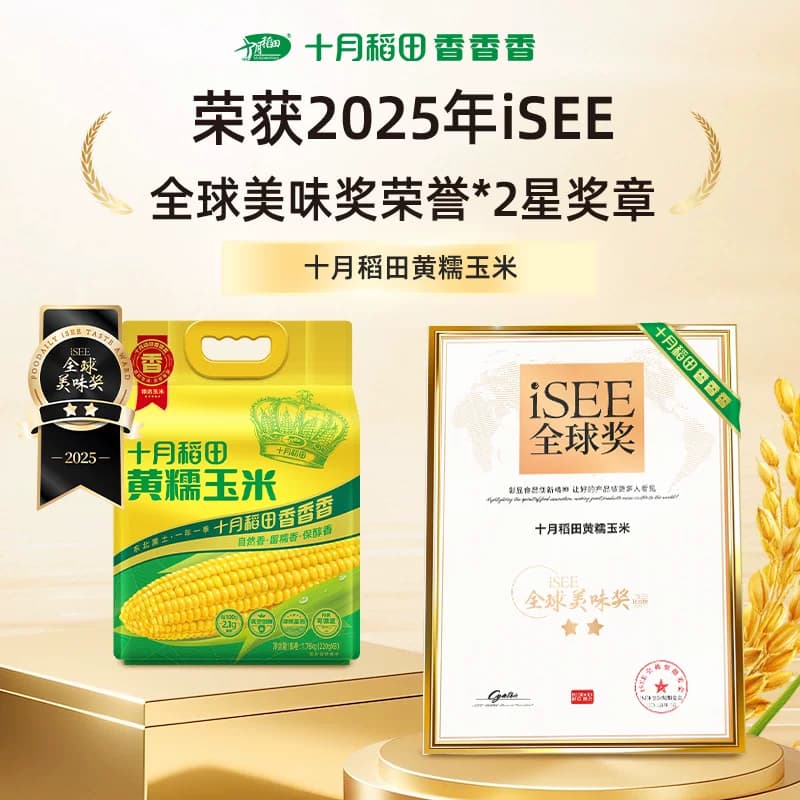 十月稻田黄糯玉米东北粘苞米杂粮粗粮低脂早餐可微波 - 缩略图2