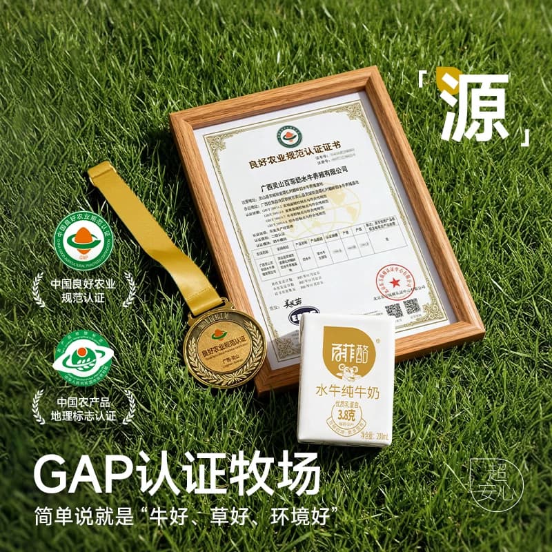 百菲酪水牛纯牛奶学生儿童成长早餐营养奶牛奶整箱纯奶水牛奶 - 缩略图4