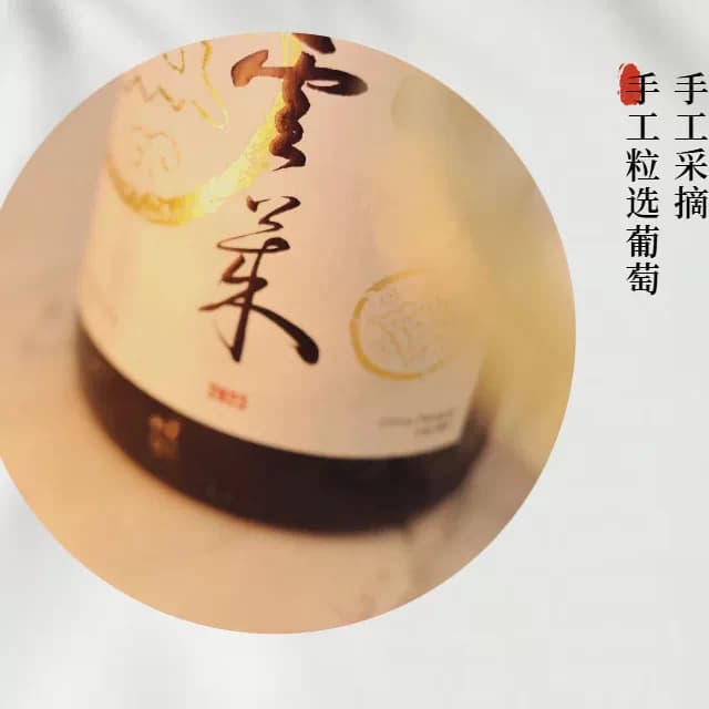【果香浓郁 香草奶油感】大金奖*晋瑜云莱小芒森干白2024年750ml - 缩略图3