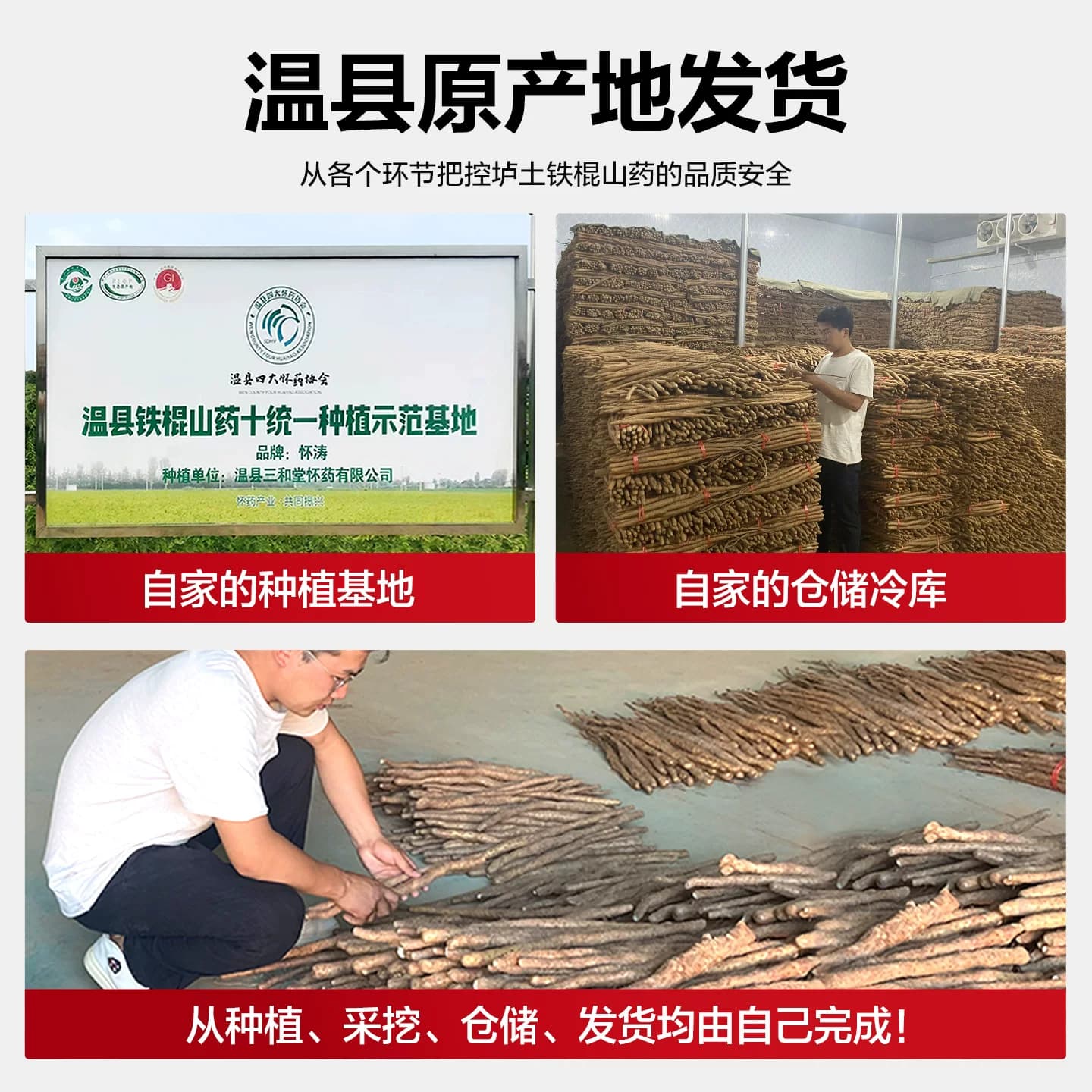 怀涛铁棍山药河南焦作温县正宗垆土铁棍淮山药新鲜5斤铁杆怀山药 - 缩略图4