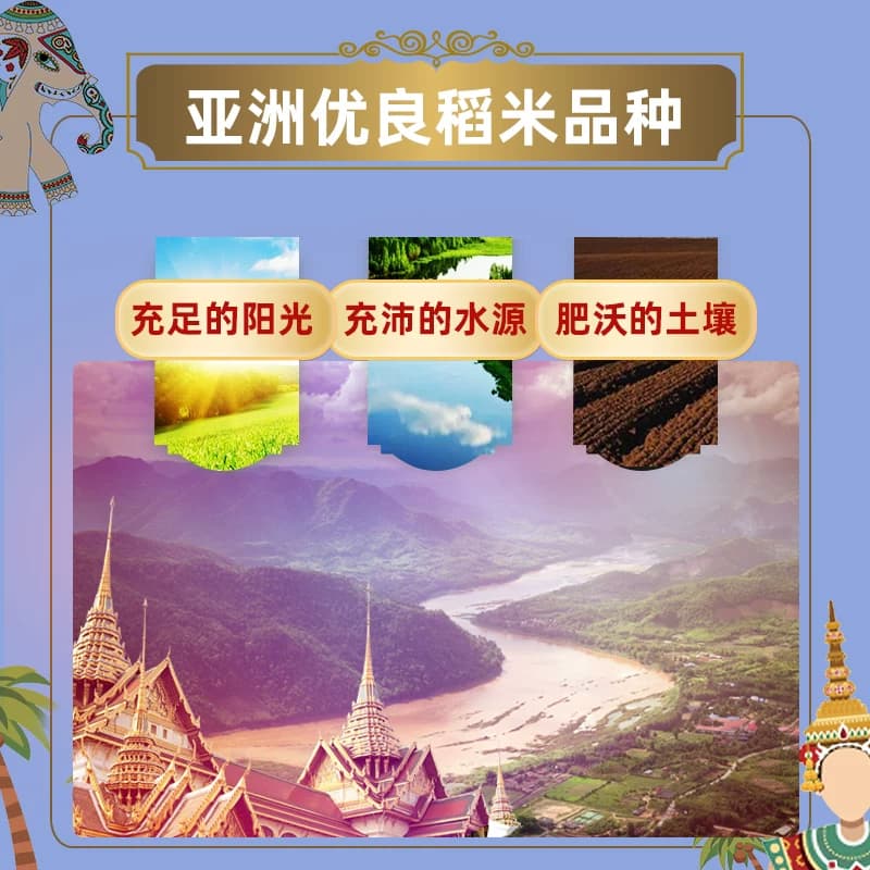 福临门泰玉香尚品香米整箱5kg*4量贩装籼米大米20公斤 - 缩略图4