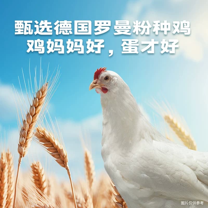 臻选圣迪乐减胆固醇营养蛋鲜鸡蛋 - 缩略图4