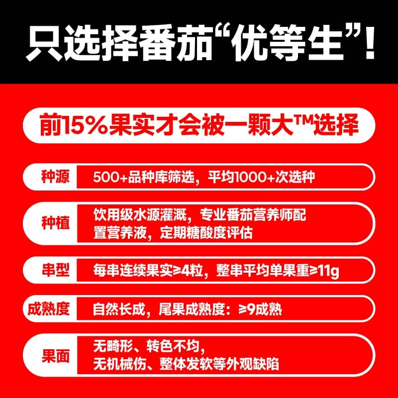 【一颗大】串收樱桃番茄甄选端午礼盒新鲜采摘酸甜多汁 - 缩略图2