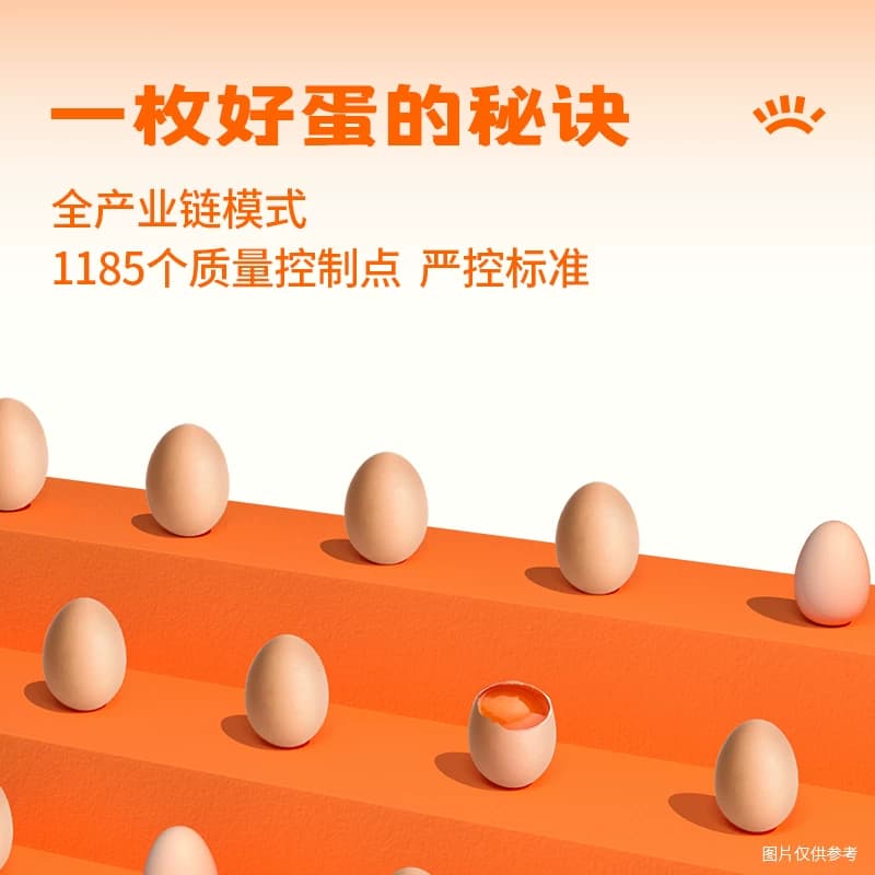 臻选圣迪乐减胆固醇营养蛋鲜鸡蛋 - 缩略图3