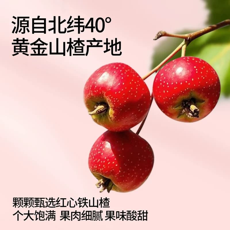 奶酪博士不额外添加白砂糖儿童零食山楂棒棒糖原果打浆添加奶酪粉 - 缩略图2