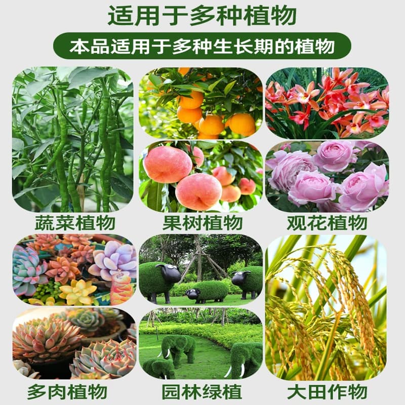 羊粪发酵有机肥 鸡粪肥 纯干羊粪蛋粒种菜花卉通用有机肥料蔬菜用 - 缩略图4