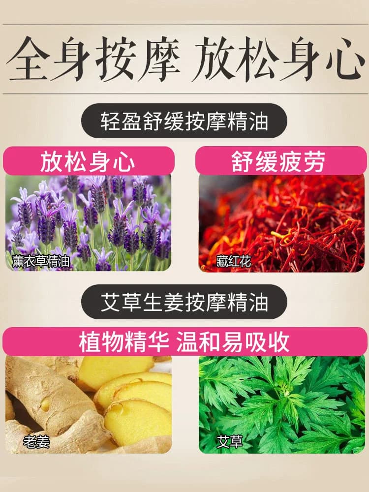 MAGEC生姜艾草全身按摩精油通经络身体开背刮痧推背油情侣美容院 - 缩略图3
