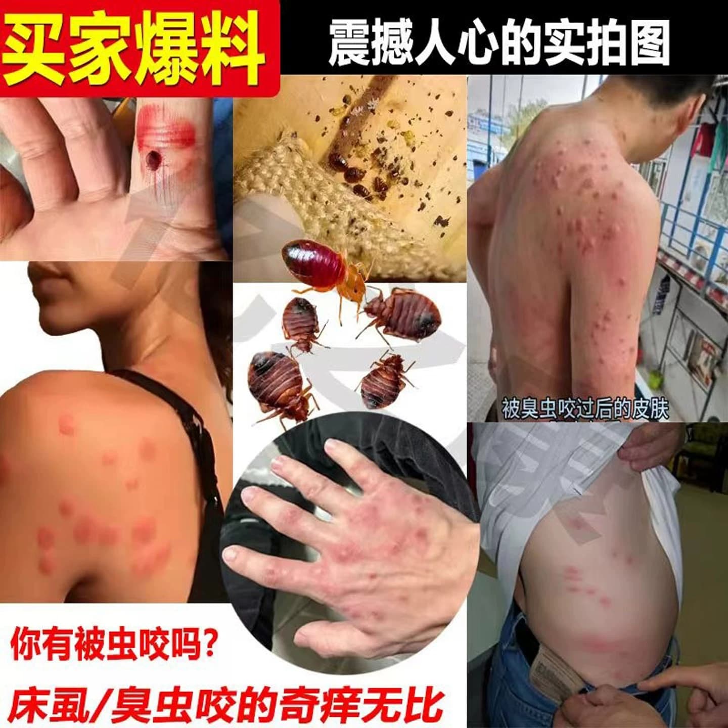 臭虫药杀虫剂床上专用灭杀驱床虱喷雾强特力驱除宿舍臭虫粉效家用 - 缩略图2