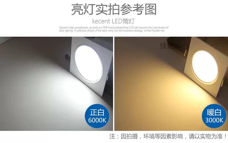 格栅筒灯15X15方形铁铝格子led双头10*20公分葡萄架专用6寸黑射灯 - 缩略图3