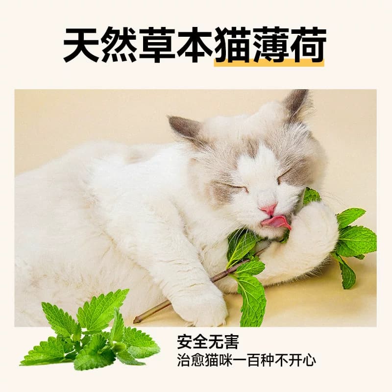 麦富迪猫零食猫薄荷饼干小鱼干猫咪零食磨牙洁齿营养成幼猫小零食 - 缩略图3