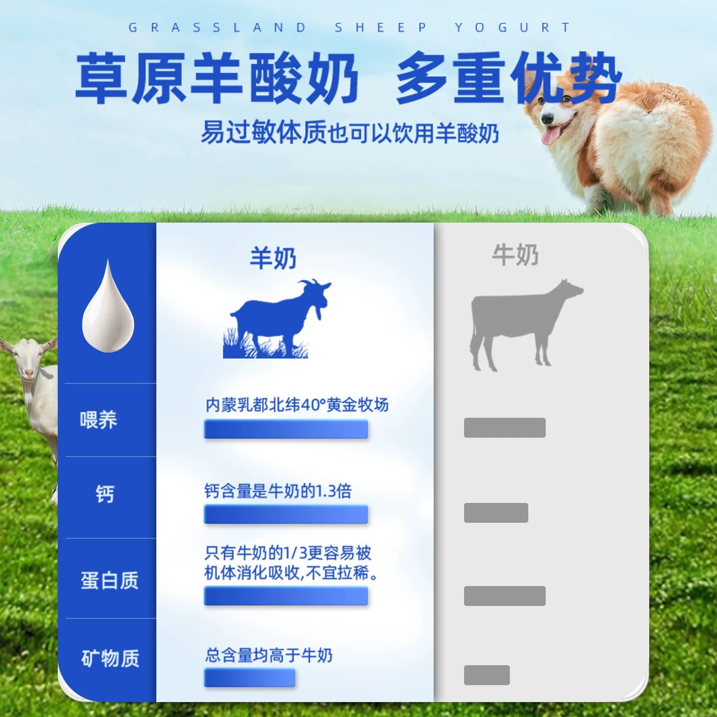 蒙贝宠物酸奶狗牛奶羊奶猫咪狗狗零食营养奶酪冻干喝的益生菌专用 - 缩略图3