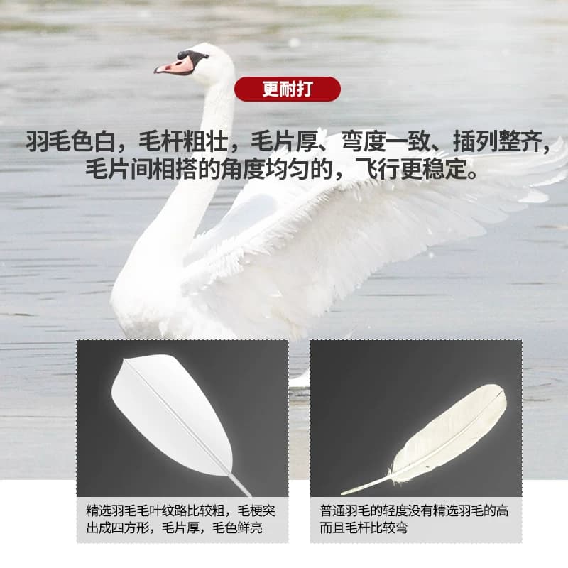 迪科斯羽毛球耐打王正品不易打烂鹅毛比赛套装训练用球3/6/12只装 - 缩略图3