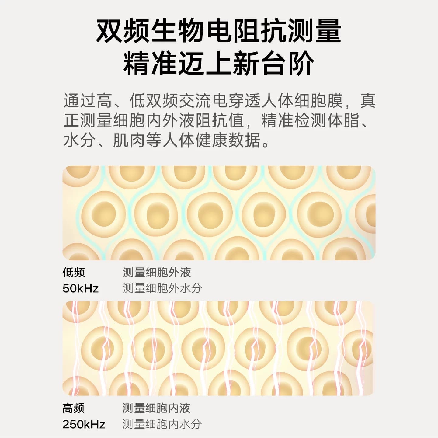 小米官方旗舰店米家体脂秤S400体重秤电子秤减肥专用智能精准体重家用减脂体脂称体重称称重人体健身礼物正品 - 缩略图5