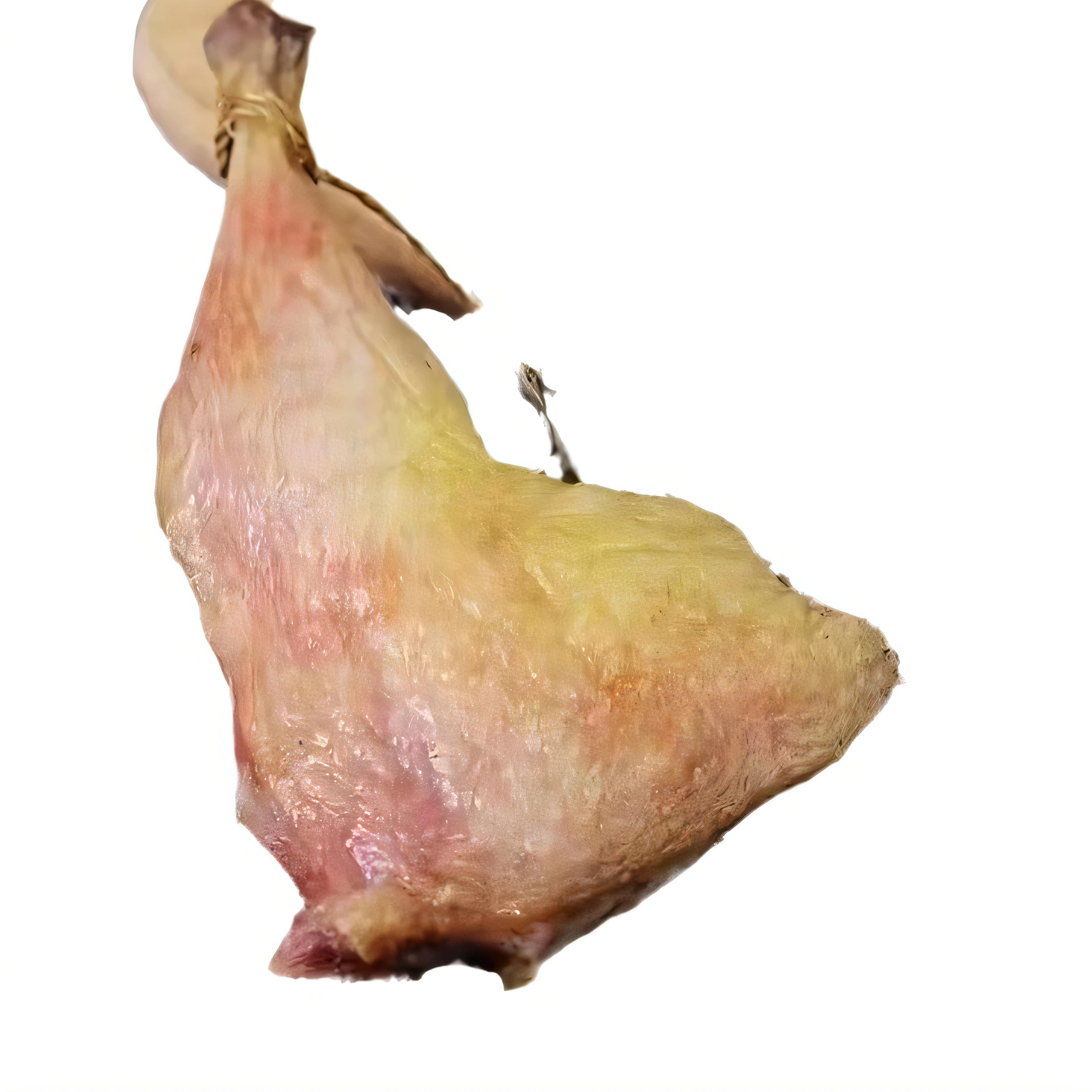 广东特产江门腊鸭广式腊味麻辣腊鸭生晒腊肉烧烤腊鸭小腿煲仔饭 - 缩略图4