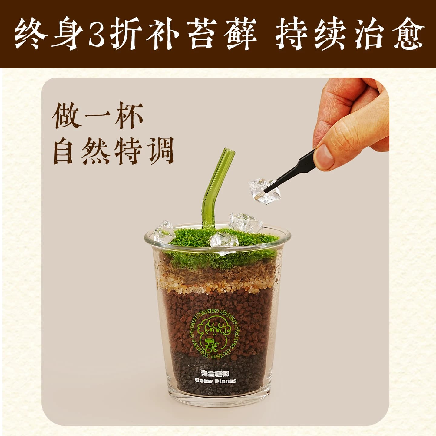 植人咖啡ins风桌面苔藓微景观diy创意女生日礼物办公桌面绿植盆栽 - 缩略图5