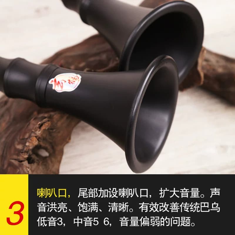 巴乌乐器竖吹成人专业演奏小学生初学入门大音量G/F调 单管乐器 - 缩略图4