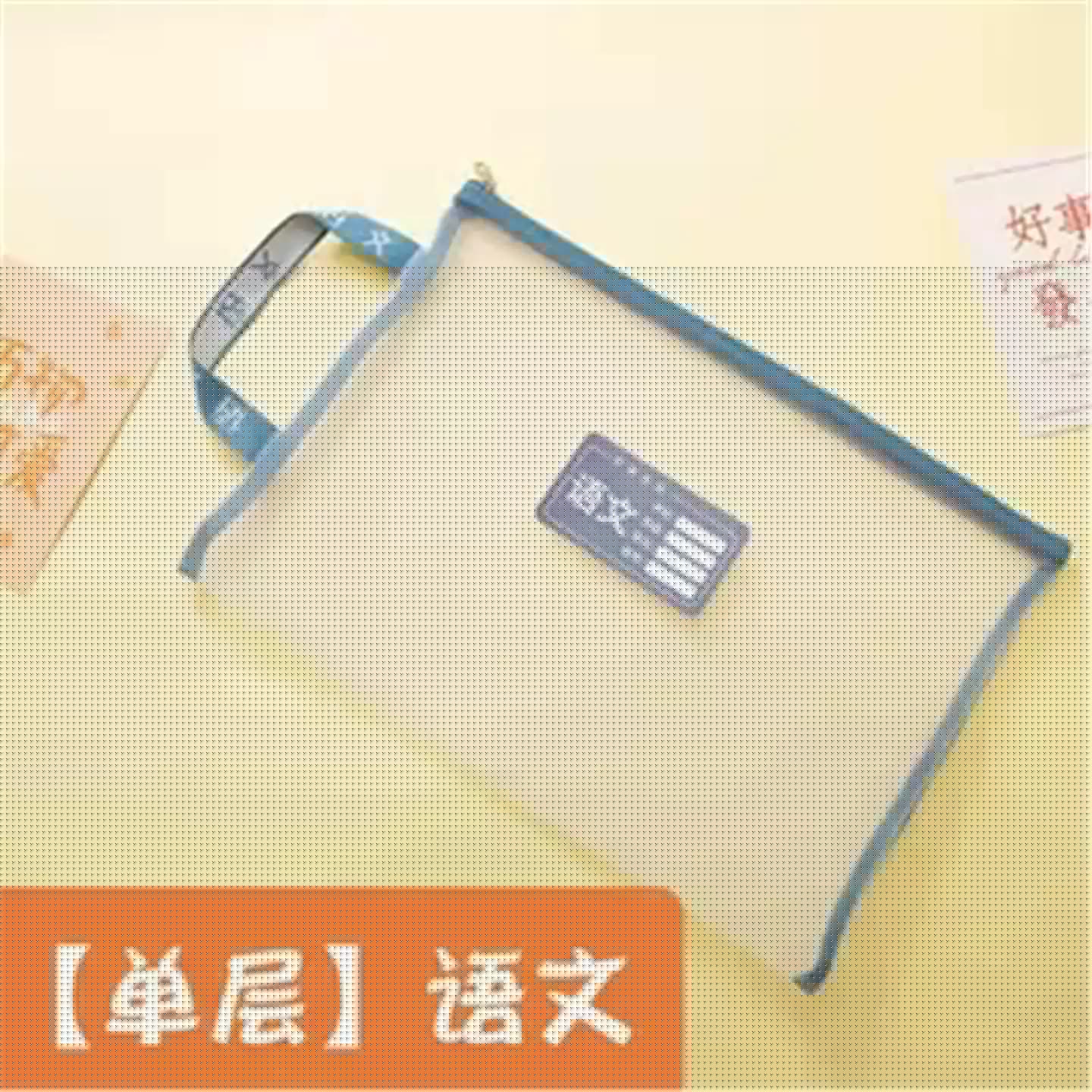 莫兰迪网纱科目袋学生手提试卷收纳袋大容量补习文件袋袋学科分类 - 缩略图4