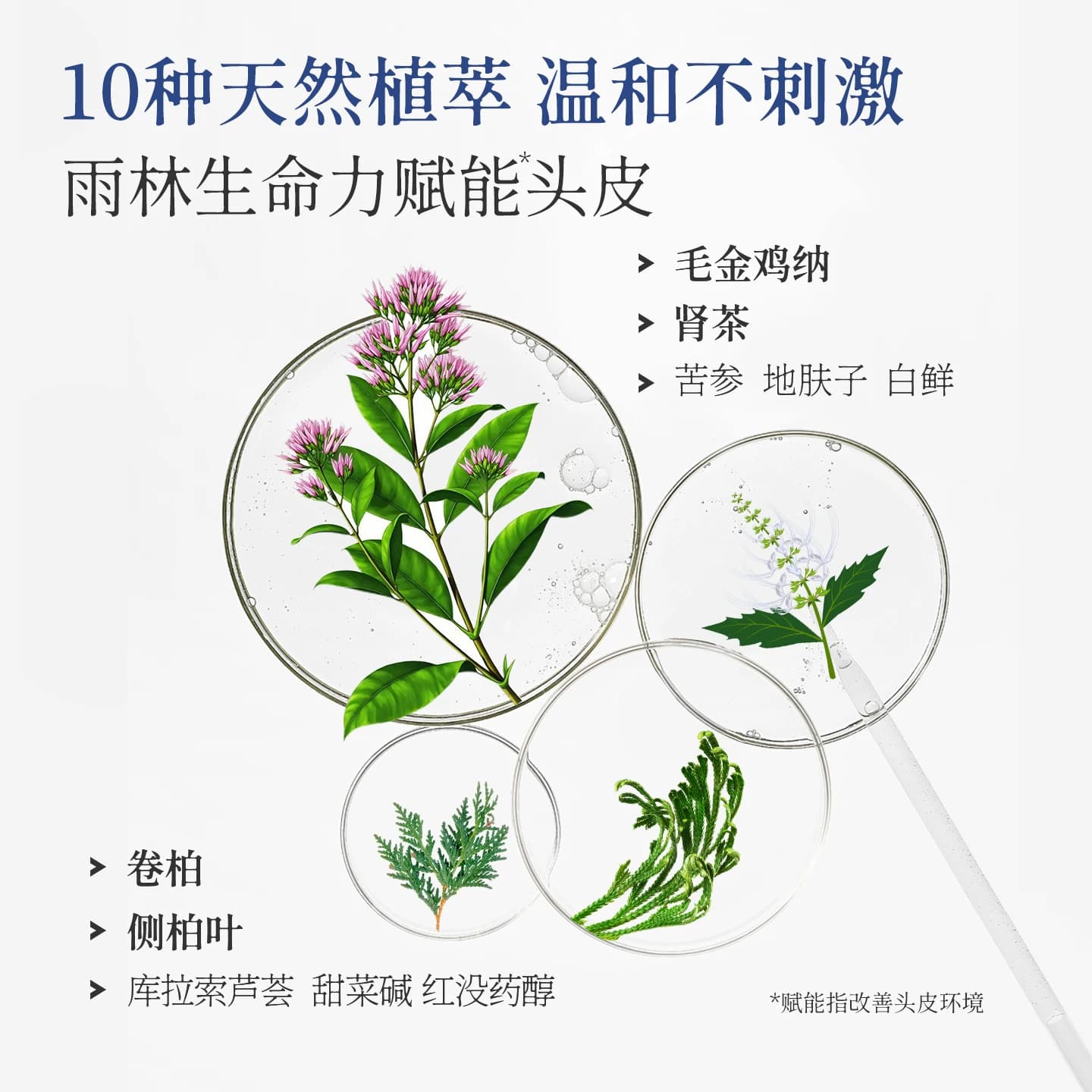 舒霖去屑止痒氨基酸控油蓬松植萃养护头皮洗发水男女洗发水正品 - 缩略图2