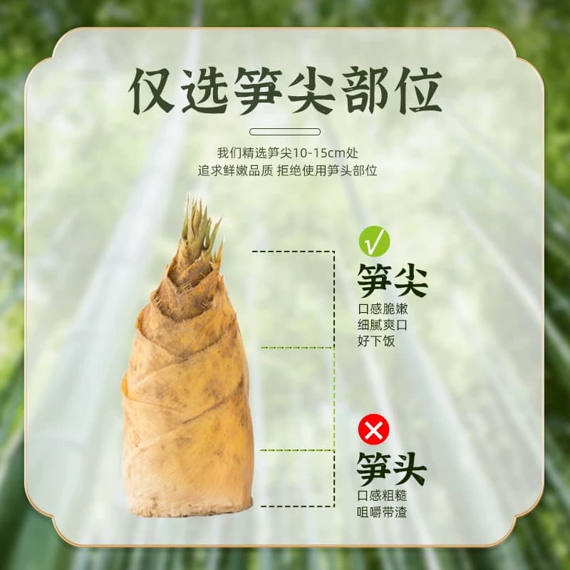 掌中勺原味糯米笋湖南农家特产竹笋丝新鲜嫩笋尖半成品 - 缩略图3