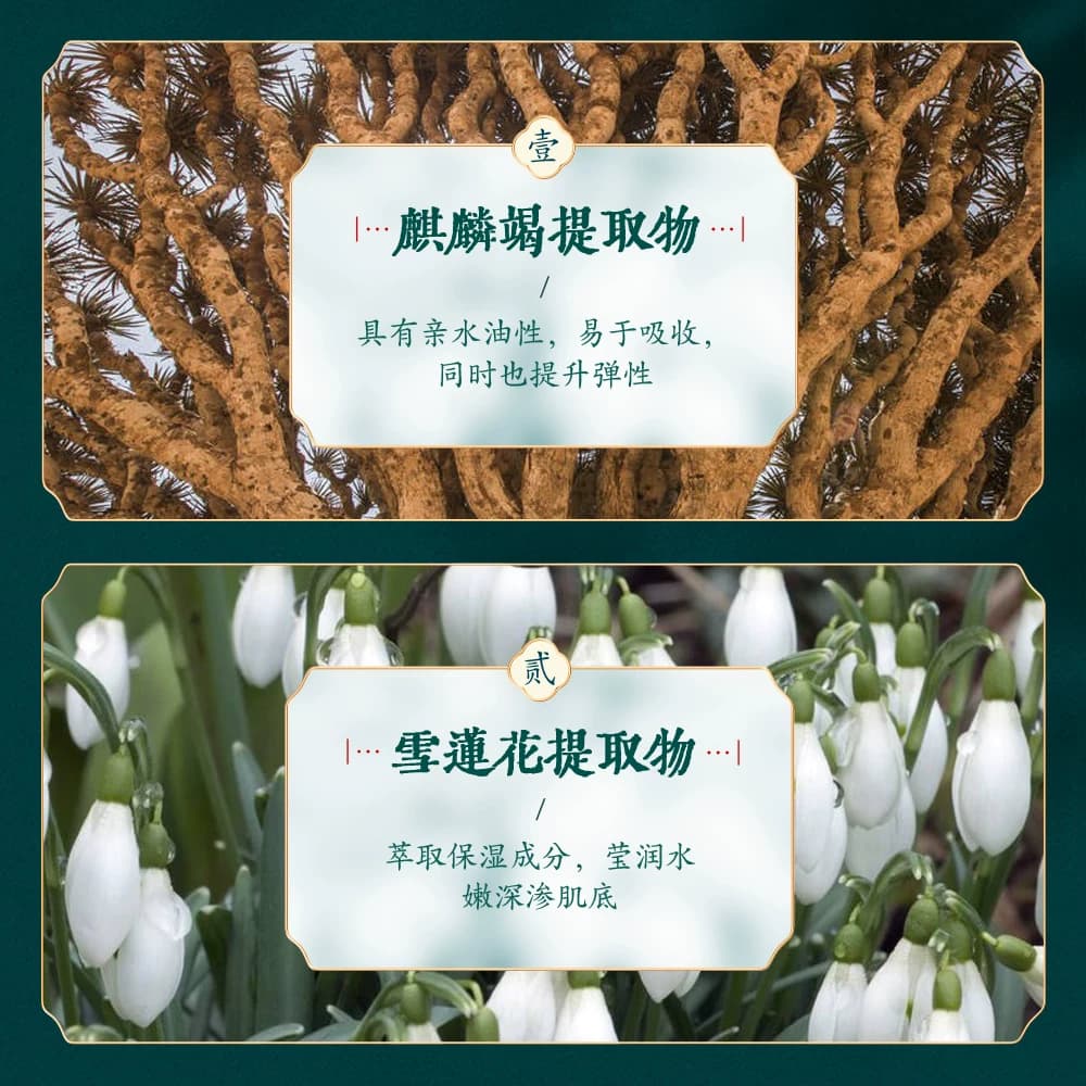 佰珍堂麒麟竭赋颜补水保湿美肌十件套C - 缩略图4