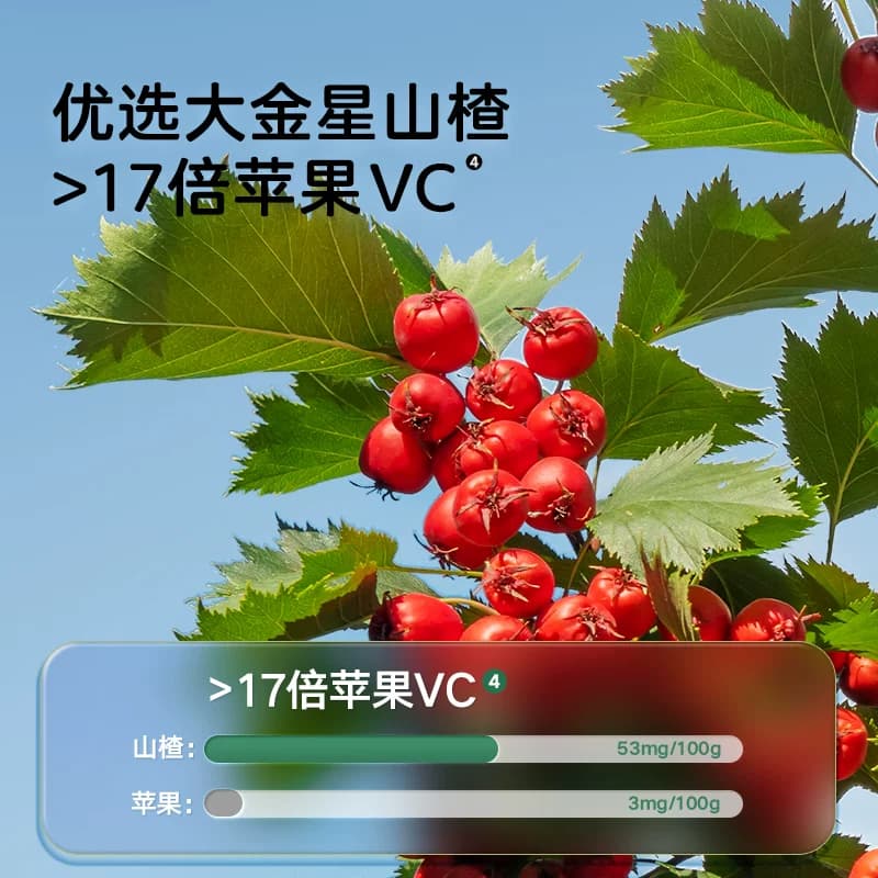 宝宝馋了小葫芦山楂棒棒糖无添加白砂糖儿童零食 - 缩略图3