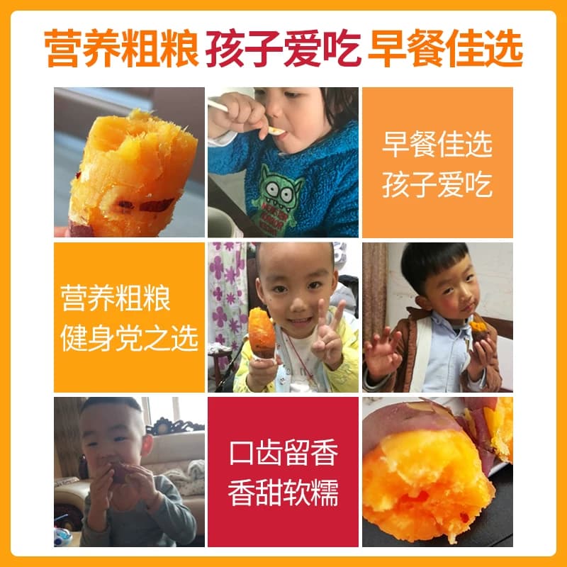 山东烟薯糖心烟25号5斤蜜薯红薯新鲜番薯沙地烤地瓜农科院山芋 - 缩略图4