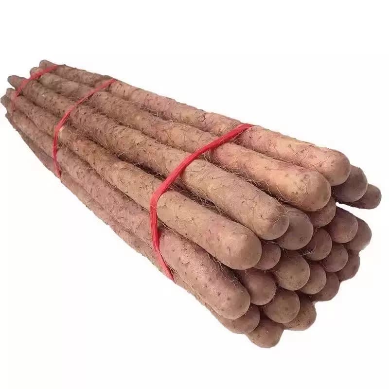 铁棍山药铁杆河南焦作温县铁棍山药新鲜5斤特产整箱准现挖细小短 - 缩略图5