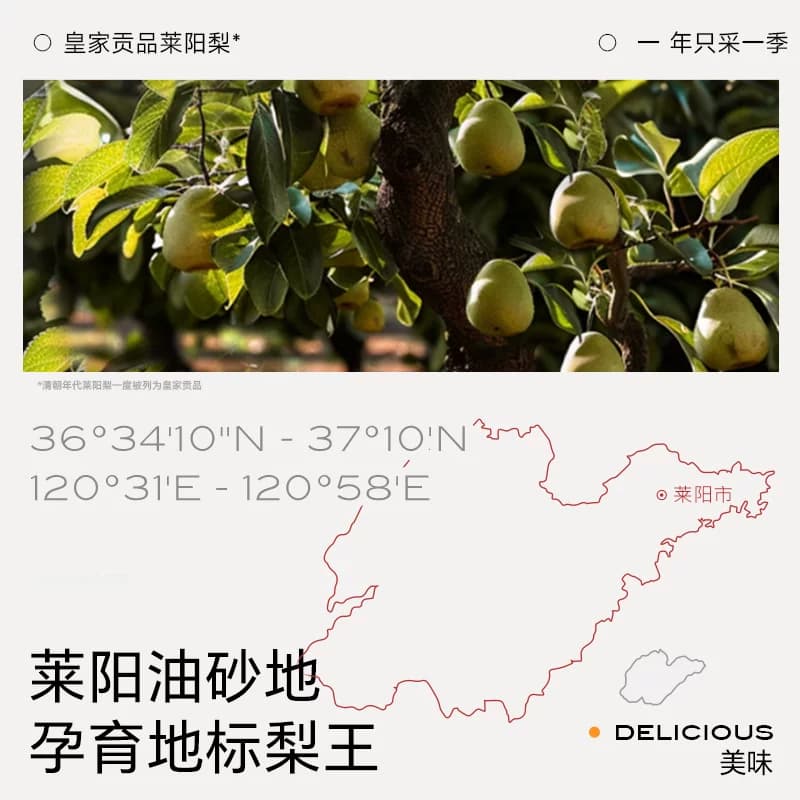 不二宝贝婴幼儿枇杷秋梨膏210g宝宝儿童纯梨膏冲饮搭无添加蔗糖A - 缩略图3