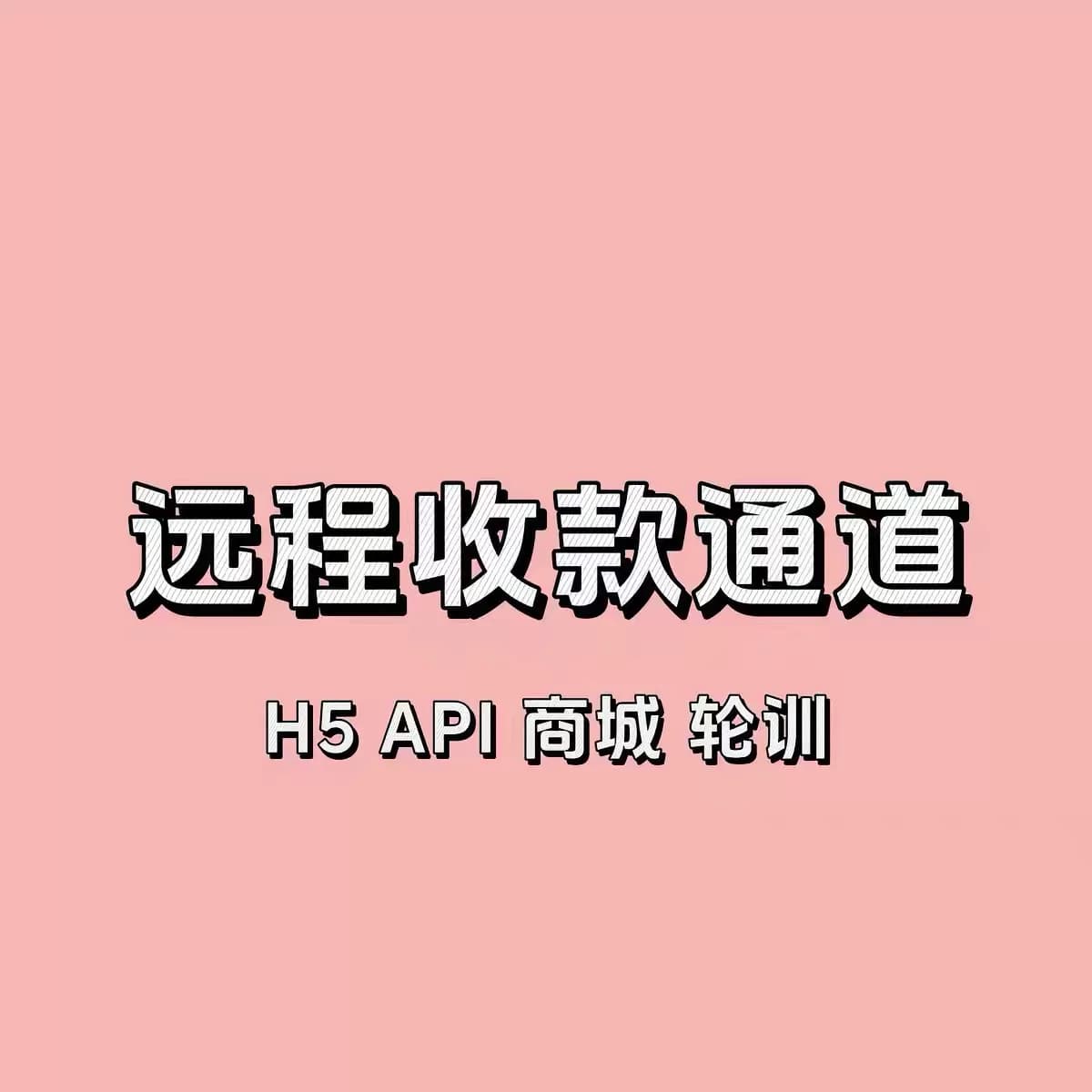 远程商户码异地线上码h5动态码远程线上支付抗风控码 - 缩略图2