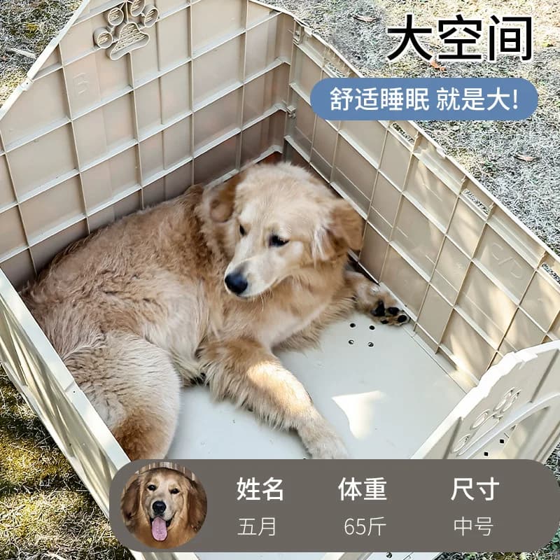 狗窝室外四季通用狗房子农村户外防雨防晒防寒中型大型犬狗屋别墅 - 缩略图2