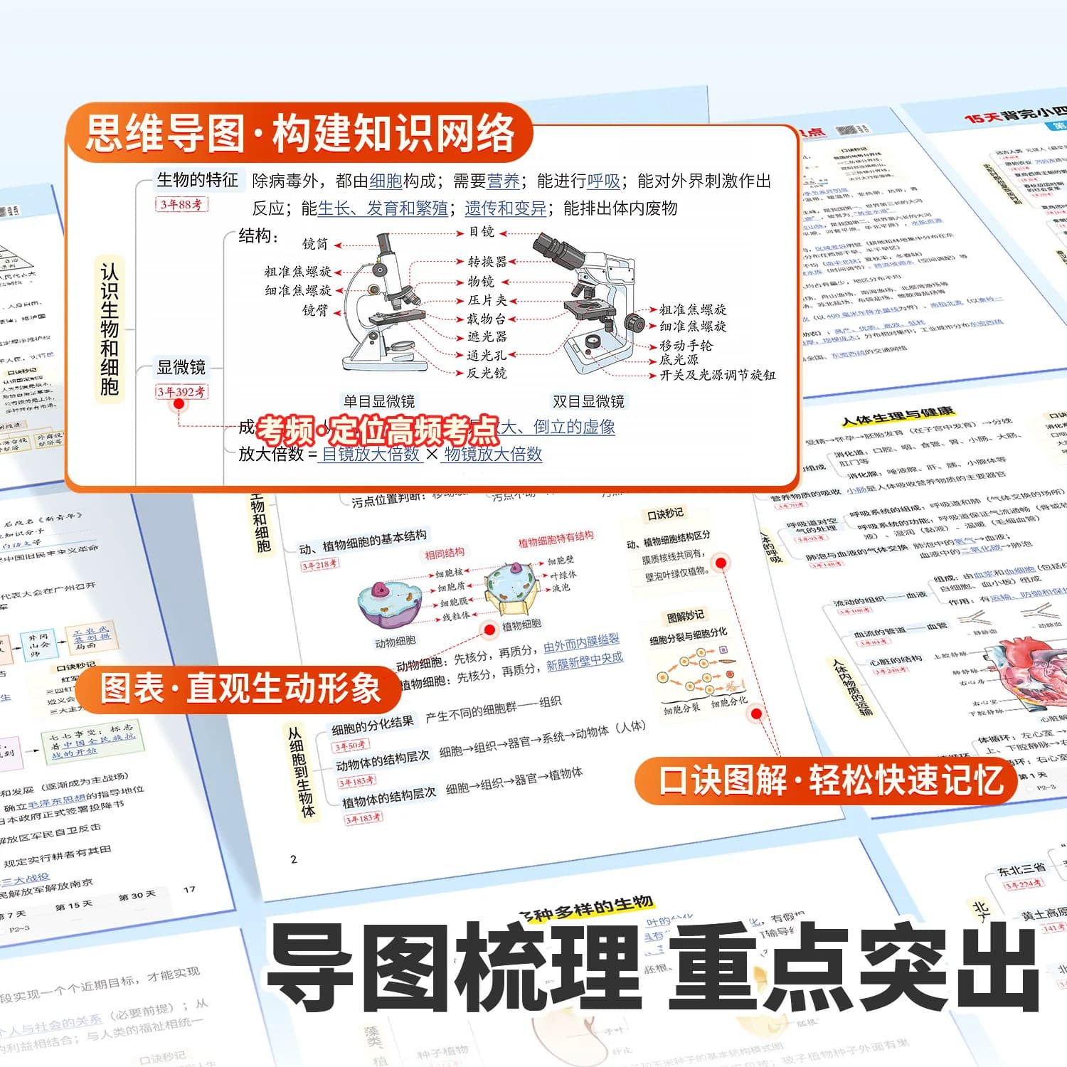 小四门必背知识点初中归纳总结速记一本通初一初二七年级上册八年级人教版小升初秒记预备新初一七上八上背诵资料一本早背晚默万唯 - 缩略图3
