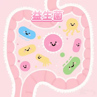 益生菌冻干粉温水冲服粉剂袋装携带方便成人适用 - 缩略图5