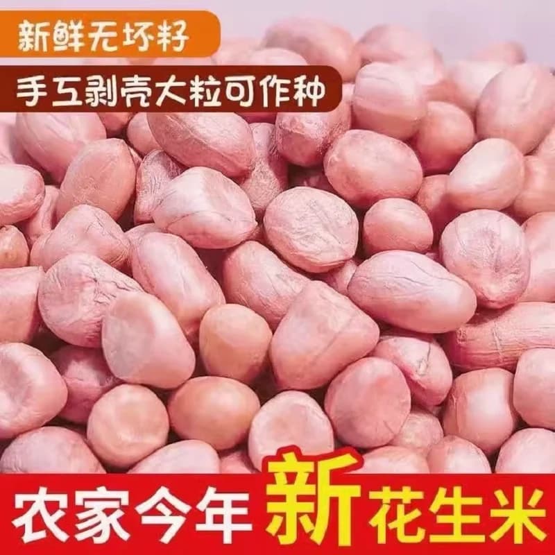 花生米生新河南新货2026年大颗粒农家新鲜花生仁大粒散装食用油炸 - 缩略图2