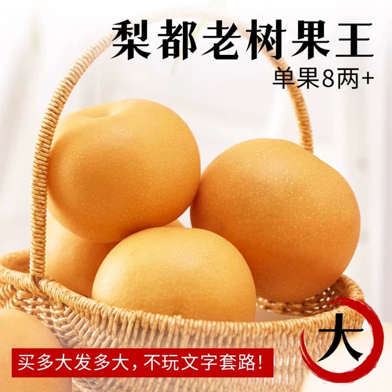 正宗丰水梨秋月梨现摘现发水果新鲜当季冰糖雪梨子大果整箱包邮 - 缩略图5