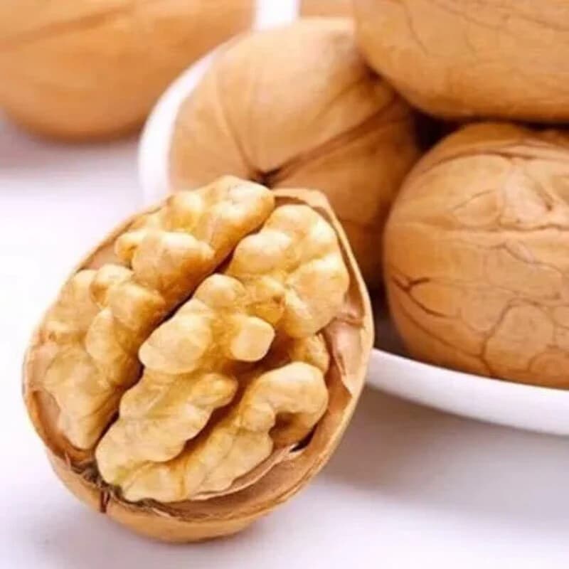 2026新疆阿克苏正宗薄皮原味生核桃新货孕妇专用坚果薄壳核桃新鲜 - 缩略图4