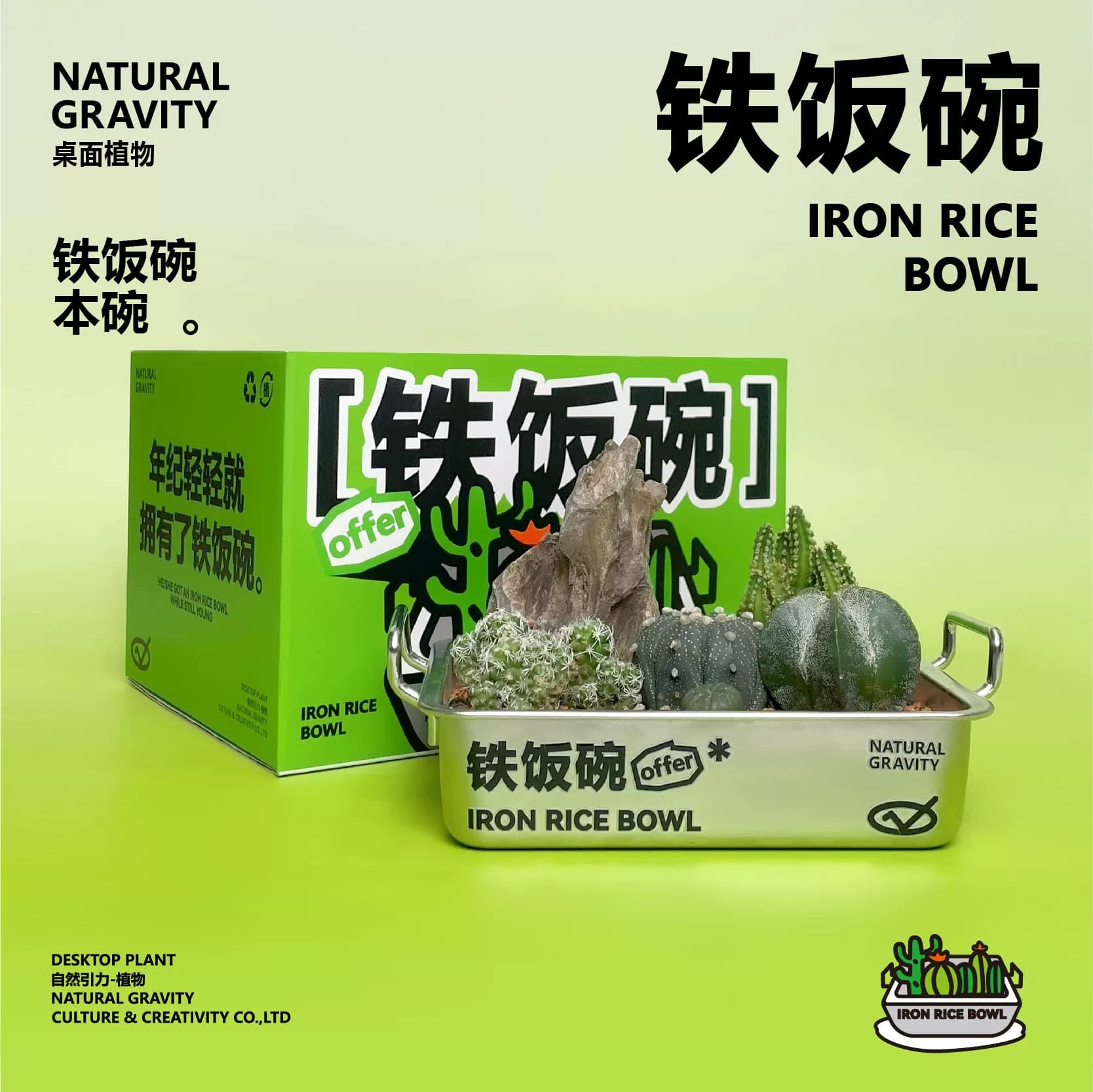 自然引力-铁饭碗仙人掌植物创意盆栽生日毕业礼物办公室绿植礼品 - 缩略图2