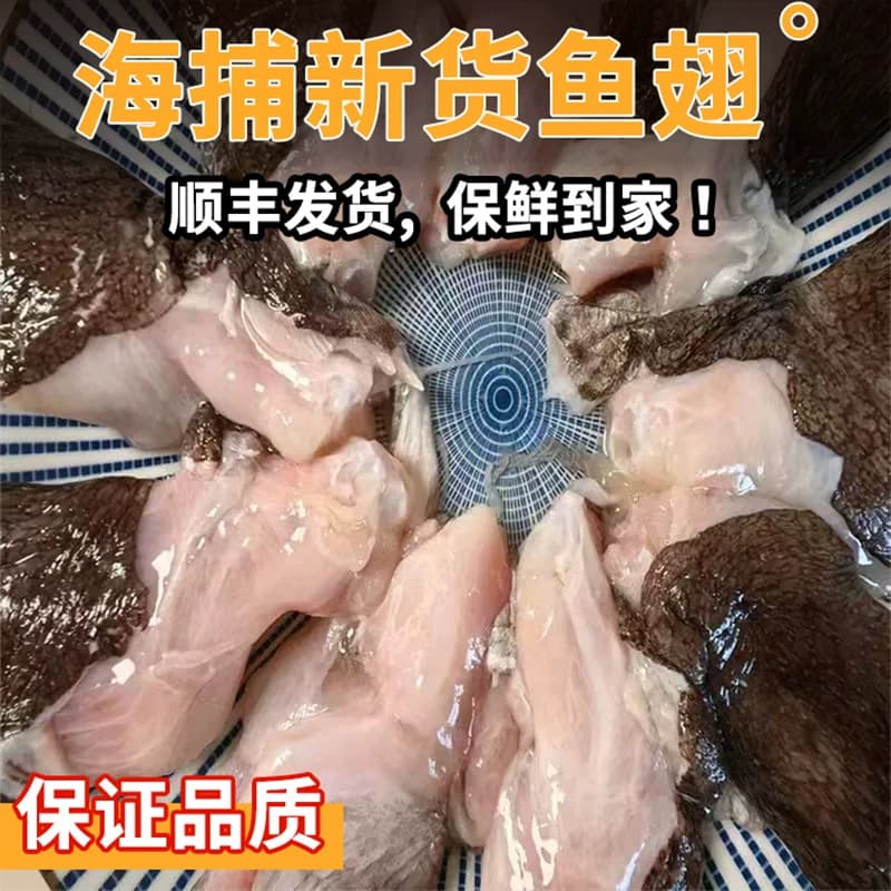 新鲜安康鱼翅膀冷冻鱼翅鱼鳍安康鱼鲜活深海鱼翅海鲜水产整箱批发 - 缩略图3