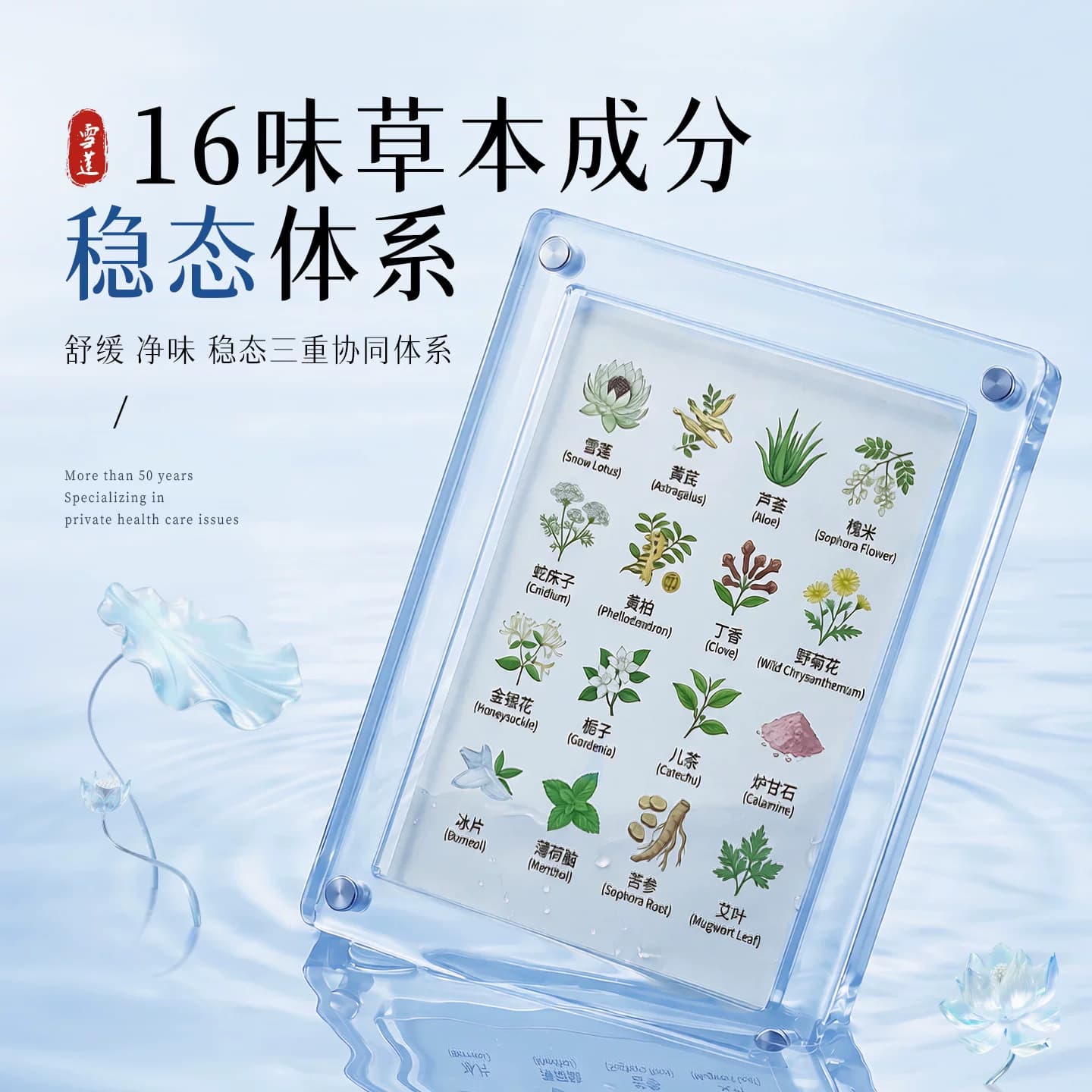 毓婷雪莲贴护垫清芯草本卫生护理垫私处保养贴女旗舰店官方正品 - 缩略图4