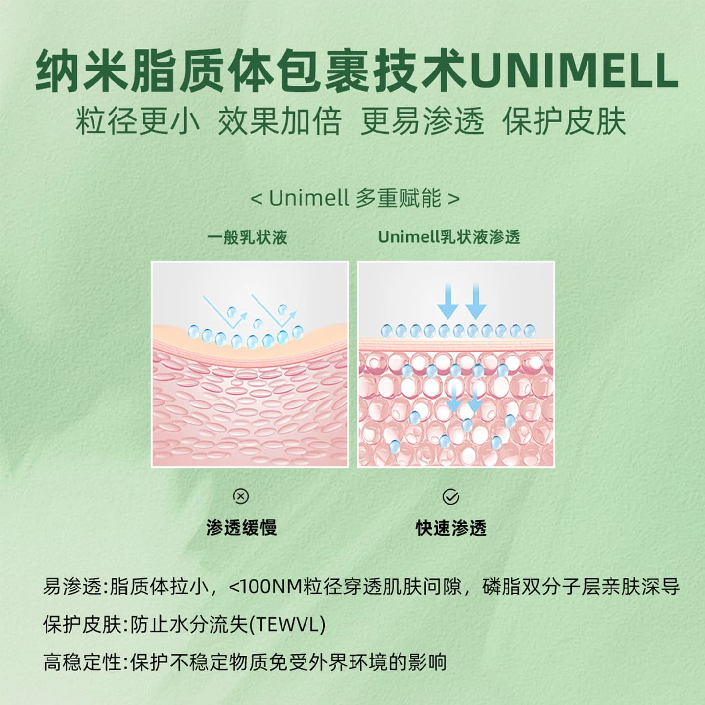 SmartDaily淳存柚子叶多肽紧致身体乳柚子香味保湿提亮不油腻 - 缩略图4