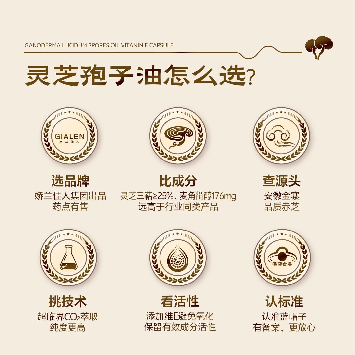 御沁品灵芝孢子油软胶囊10瓶装灵芝油增强免疫力中秋送礼升级版 - 缩略图3