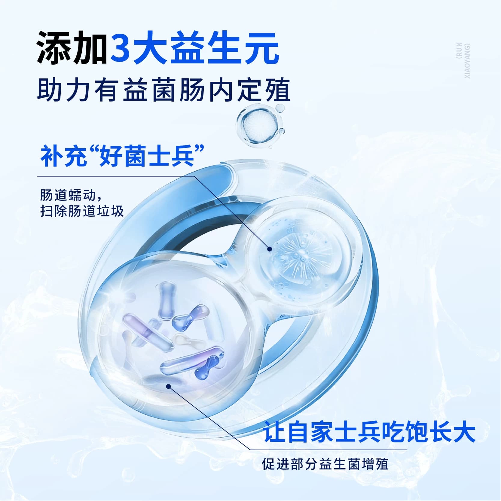润小养益生菌养胃粉成年大人肠胃男女通用孕妇活性冻干粉便携 - 缩略图4