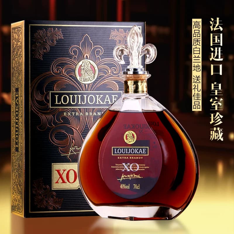 路易·圣歌玛 LOUIE SAGEMAR 酩斐公爵 珍藏版 法国进口XO 白兰地 - 缩略图3