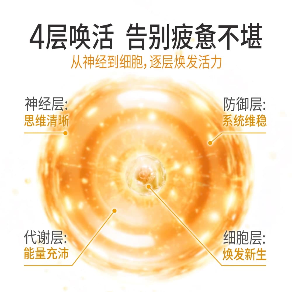 1980Diary麦角硫因藻油DHA亚精胺α-硫辛酸EGCG木犀草素胶囊 - 缩略图3