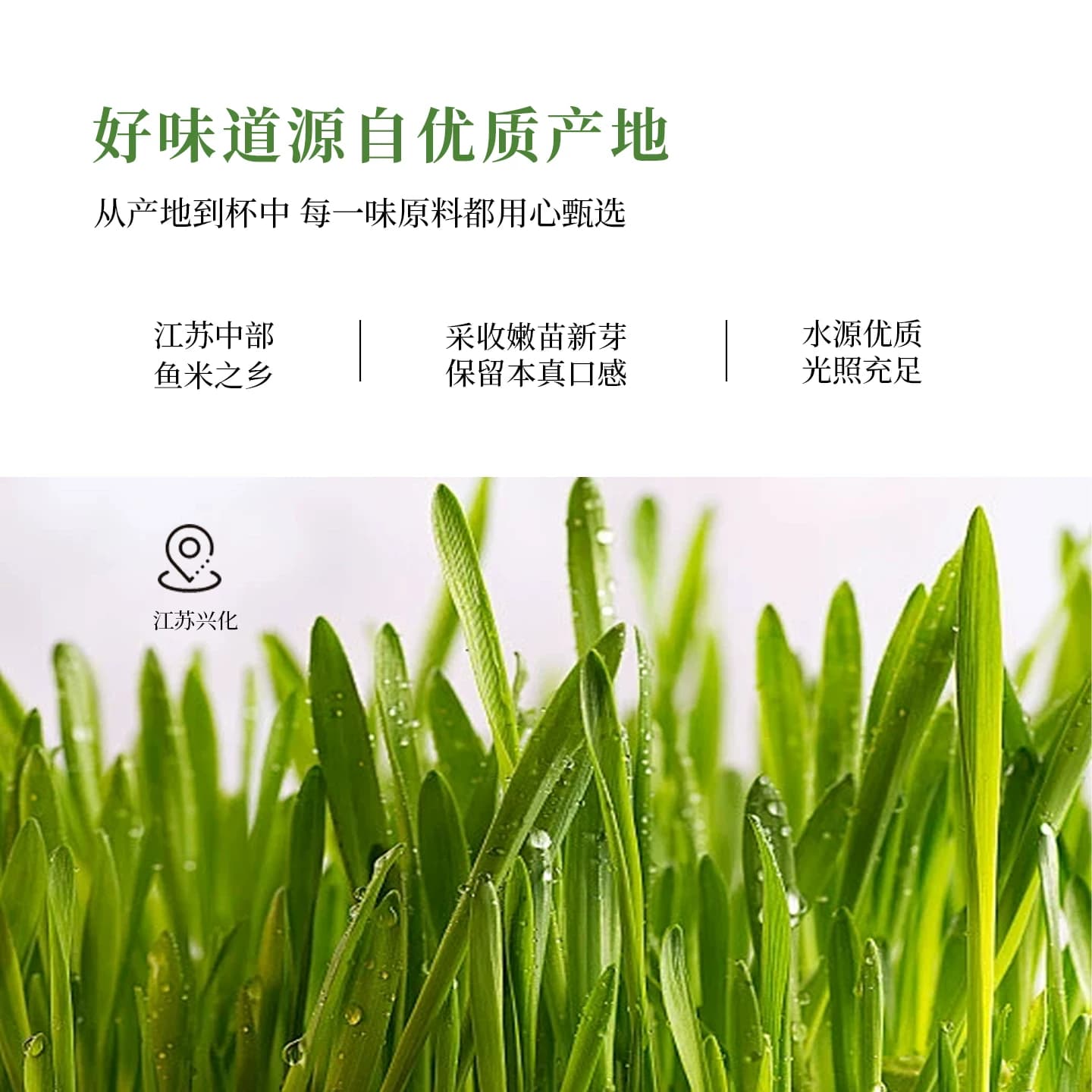 谷味乐益生元青汁大麦若叶青汁粉冲泡即食冲饮膳食纤维代餐果蔬粉 - 缩略图3