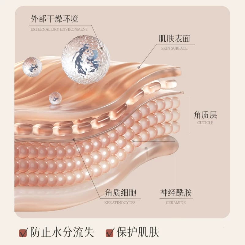 神经酰胺臻颜植萃霜舒缓保湿滋润改善面部干燥秋冬补水嫩肤霜b - 缩略图2