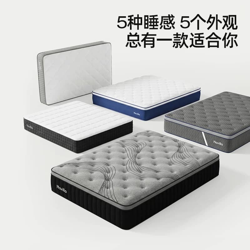 Novilla弹簧床垫护脊家用席梦思软硬适中记忆棉乳胶床垫23cmS系列 - 缩略图2