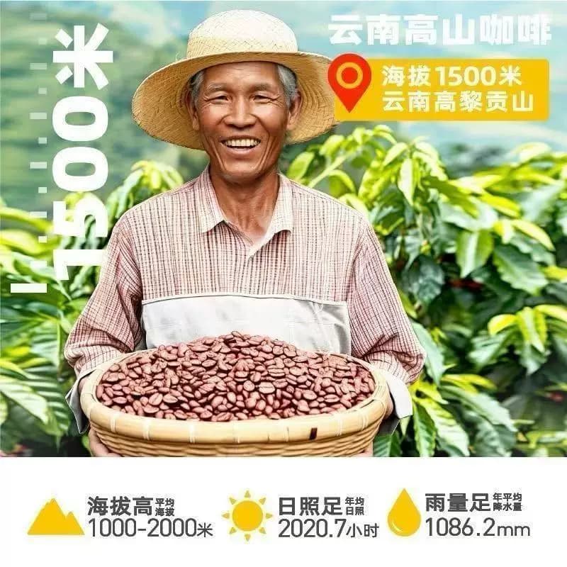 蓝山燃黑咖啡速溶左旋肉碱无糖0脂冰美式黑咖啡冷萃浓缩液正品 - 缩略图4