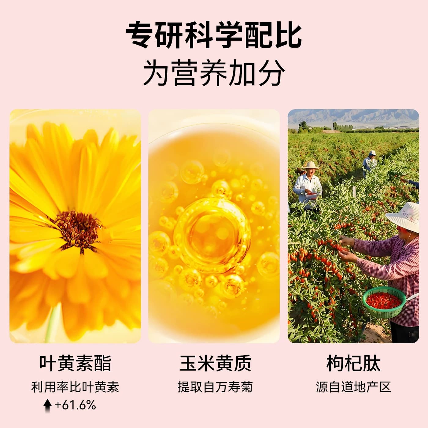TAIXILI 泰希力叶黄素酯软糖水蜜桃味成人儿童护眼独立包装正品 - 缩略图3