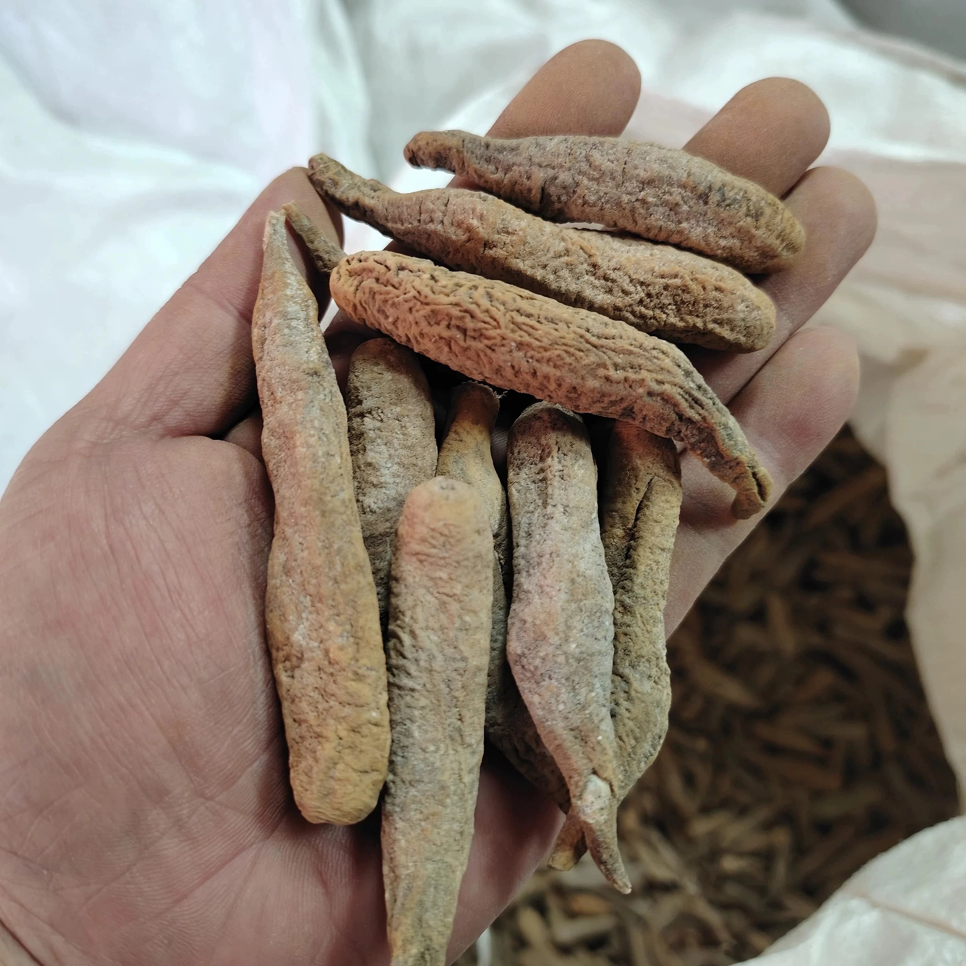 海茄子淡干干货深海海产干货家用煲汤食材无添加海产干货散装 - 缩略图4