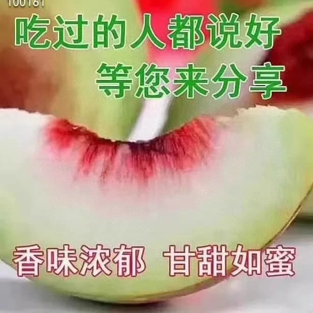 连州特产鹰嘴桃应季水果胭脂桃黄肉油桃脆香桃香蜜桃每天现摘现发 - 缩略图3